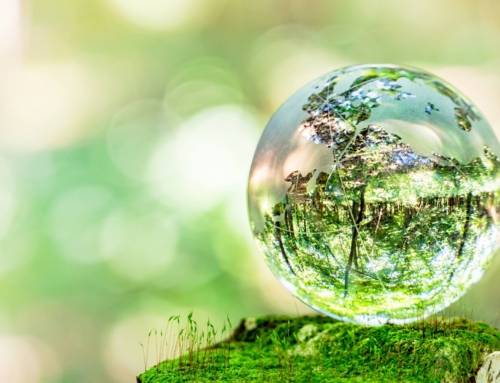 Economia circolare e sostenibilità