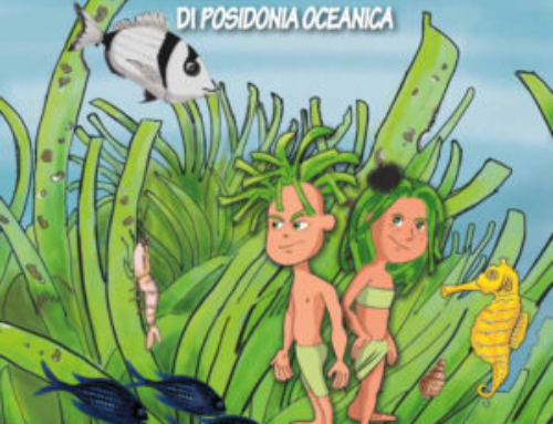 Alla scoperta delle prateria di Posidonia oceanica