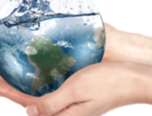 Approcci risolutivi per la rimozione dell’olio inquinante delle acque