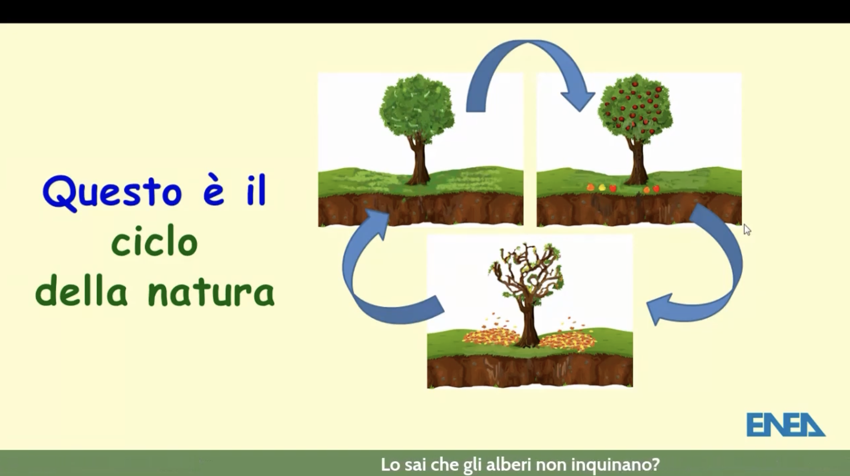 alberi