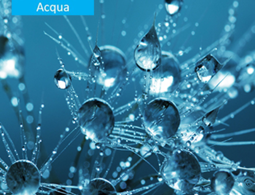 Acqua per tutti